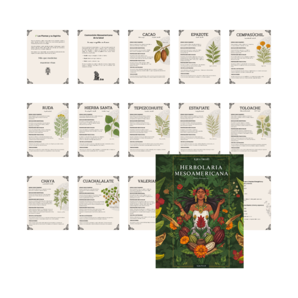 ortada ilustrada de la guía Herbolaria Mesoamericana de Kalma Tonalli en formato PDF, acompañada de fichas de plantas medicinales como cempasúchil, cacao, epazote y valeriana. Guía espiritual y ancestral sobre plantas sagradas, rituales y medicina tradicional indígena.