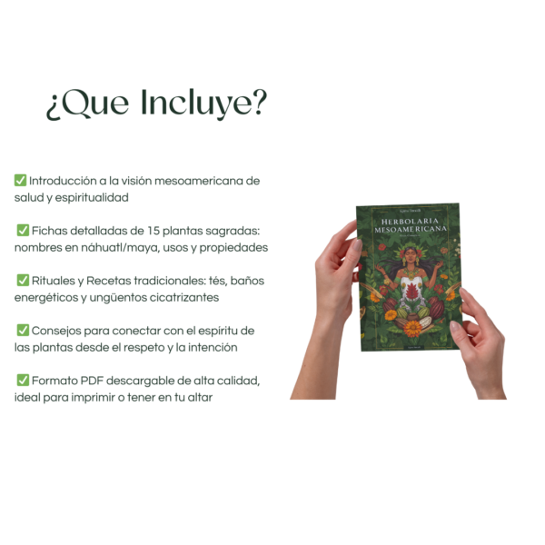 Contenido de la guía Herbolaria Mesoamericana en formato PDF de Kalma Tonalli, mostrando beneficios como introducción a la visión mesoamericana, fichas de plantas sagradas, rituales y recetas tradicionales, consejos espirituales y formato descargable de alta calidad.